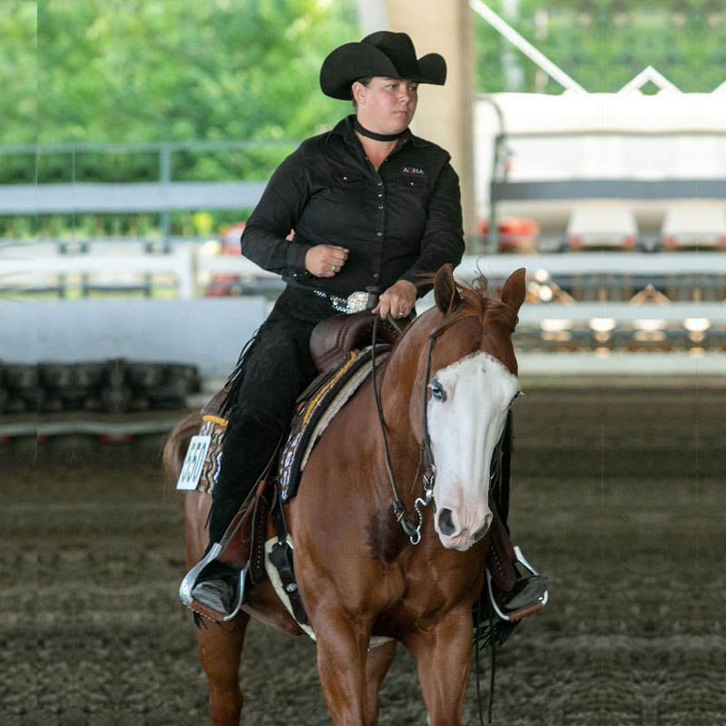 Double L Stable is a family friendly business, providing horsemanship education and boarding in Hancock, Maine